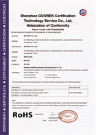 RoHS Attestation of Conformity